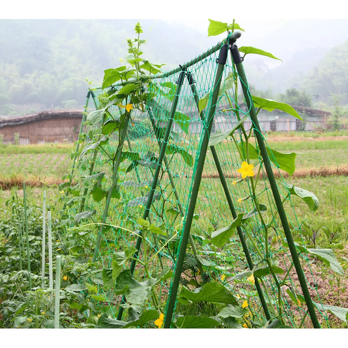 

3pcs Climbing Plant Net Green Nylon Garden Mesh Vine Support Trellis System For Cucumber Tomato Petunia Fruit Vegetable