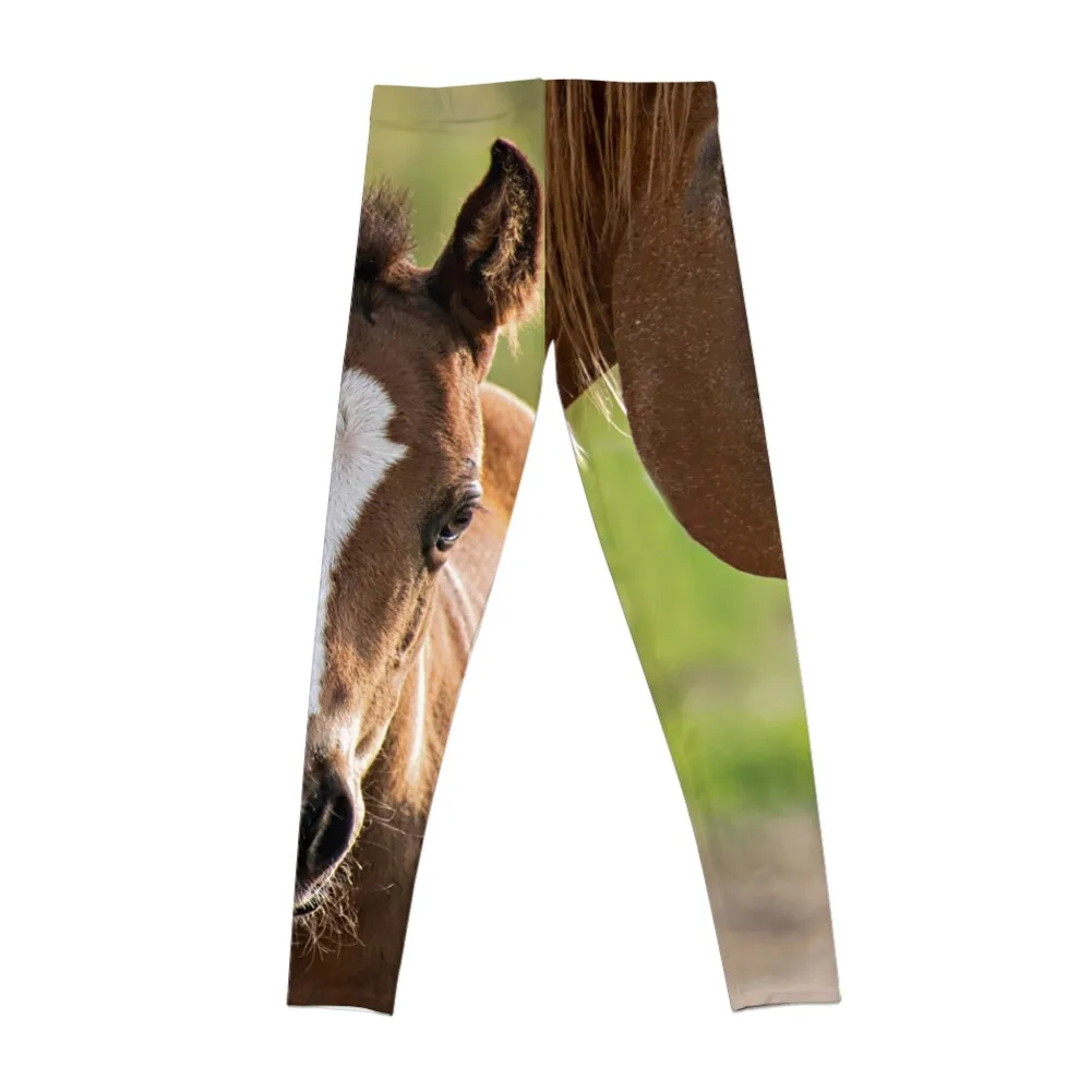 Horse Family Leggings Women's fitness sports tennis for high waist exercise clothing for Womens Leggings