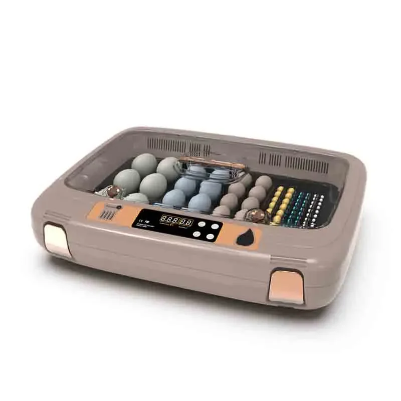 

Full Automatic Household Small Incubator Parrot Egg Intelligent Incubator Controllable Temperature and Humidity