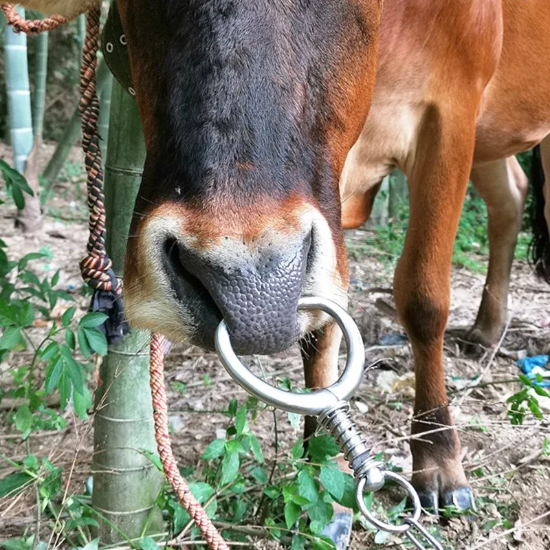 1 قطعة الماشية الماشية الأنف خواتم الفولاذ المقاوم للصدأ الماشية الأنف المشبك الثور البقرة الربيع الأنف مزرعة لوازم الحيوانات الماشية الأنف خواتم