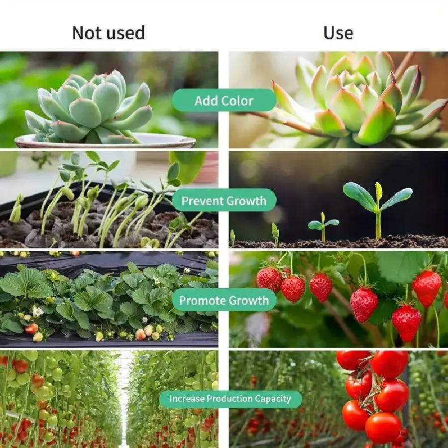 USB switch Led Grow Light Plant Hydroponic Lamp LED Full Spectrum For Greenhouse Seeds Flower Hydroponic Plant Growth Lighting