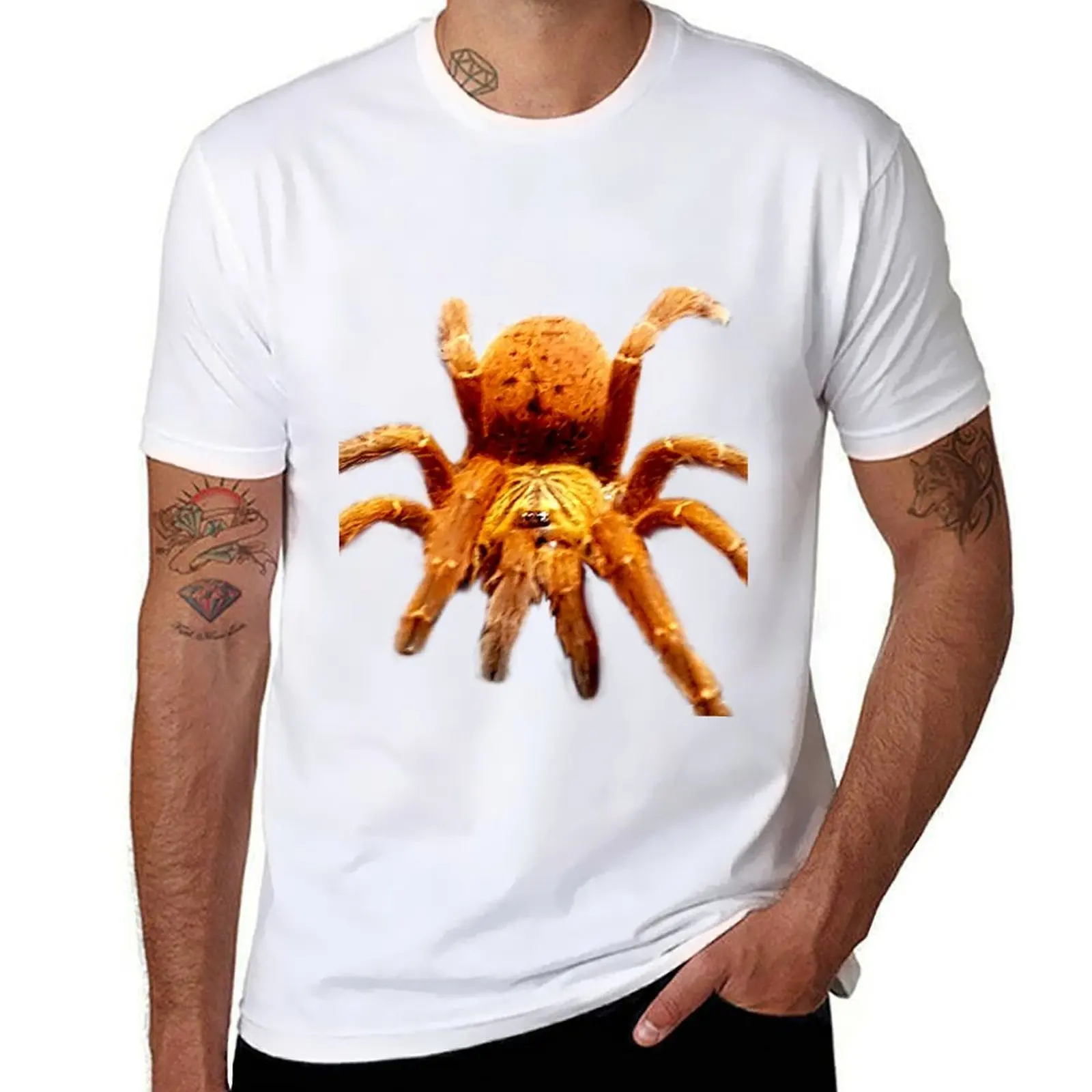 

OBT -Pterinochilus murinus; Orange Baboon Tarantula T-Shirt mens graphic t shirts funny t shirts dark humor T-Shirt