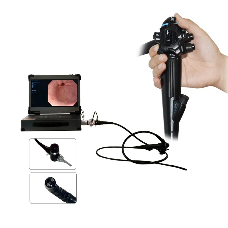 8mm Veterinary Video Endoscope Animal Dog Cat Flexible Gastroscope with Bi-op-sy Channel