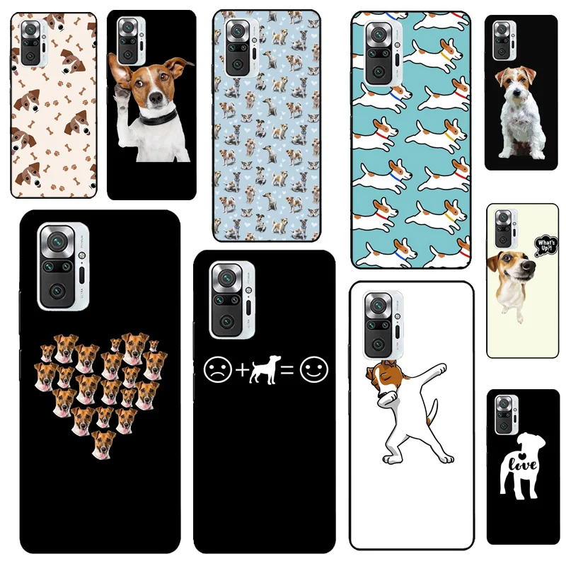 Jack Russell Terrie… - image