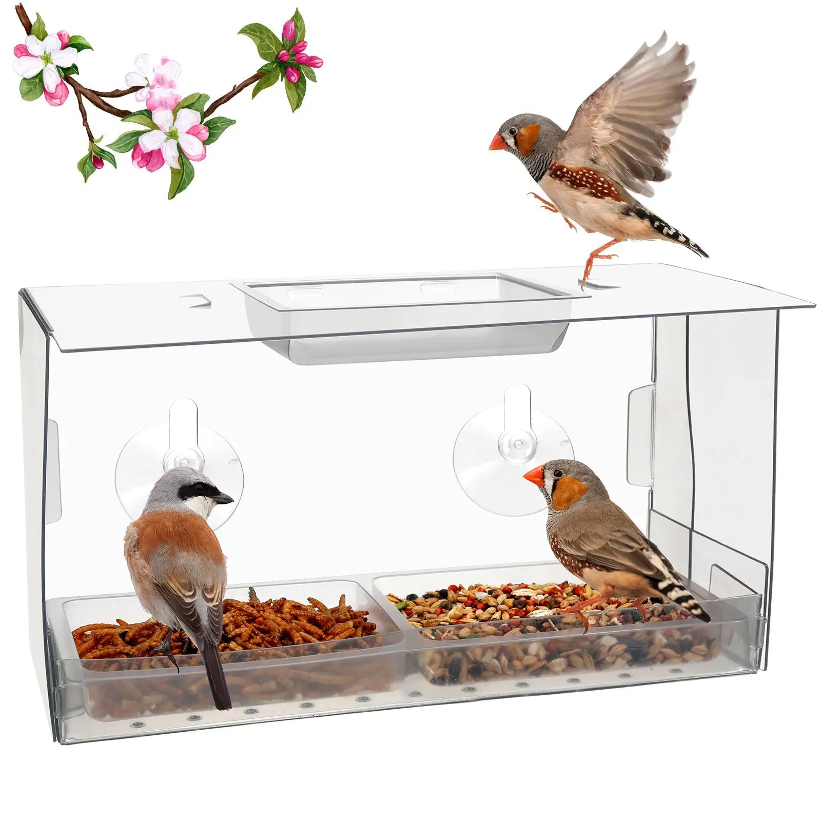 Bird Feeder Window Mount Bird Watching Transparent Outside Birdhouse for Finches Cardinals Chickadees Wild Birds Bluebird