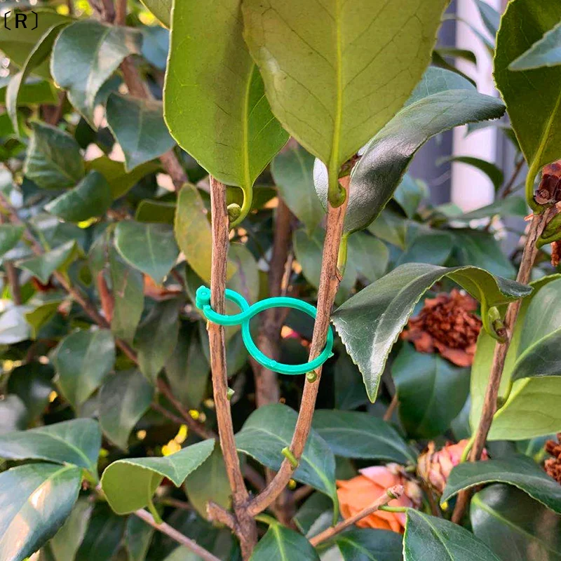 

100 шт. зажимов для подвязки растений, кольца-держатели для томатов (зима)