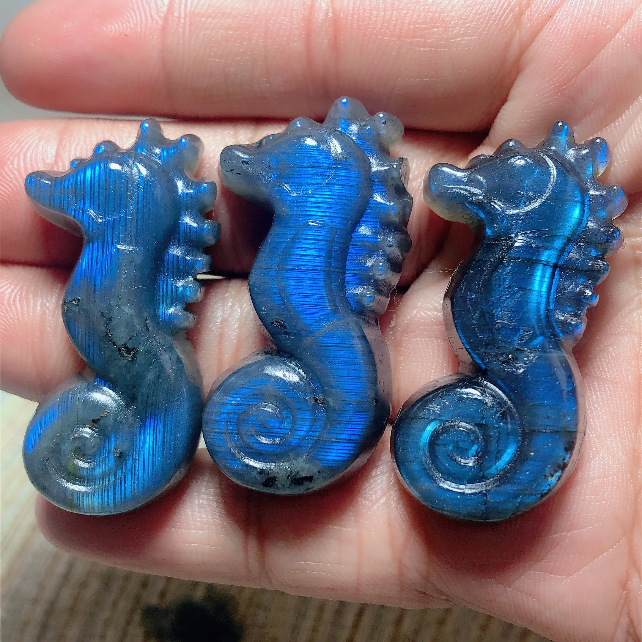 

High Quality Natural Healing Labradorite Seahorse Carved Crystals Home Decorations Animal Room Decor