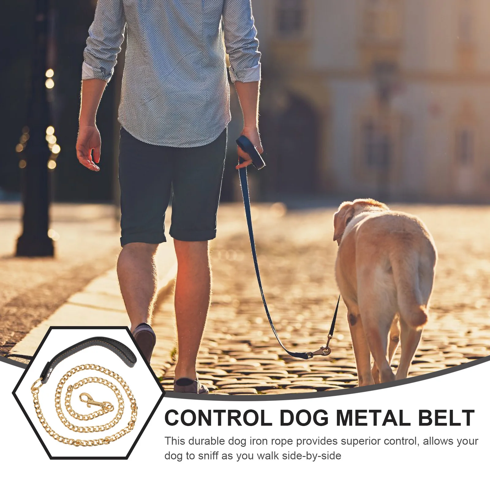 

Dog Leash Stainless Steel Rope Durable Metal Belt Traction Rope Comfortable Handfeel High Quality Stitching Control