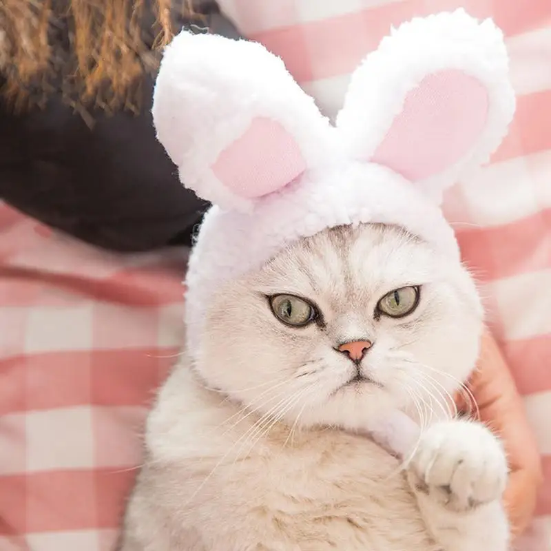 Cute Rabbit Ears Cap for Cats Funny Cat Headgear Warm Plush 