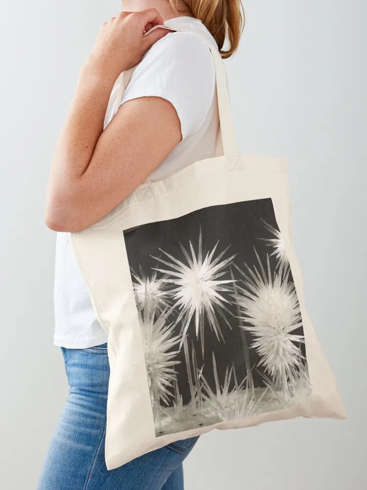 Chihuly - Icy Kingdom Tote Bag Women's shopping bag woman shopping bag Beach shopping cart bags Canvas Tote