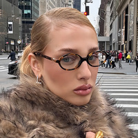 Oval Vintage Sunglasses NEW Women Luxury Brand Designer Small Oval Anti Blue Light Glasses Fashion Retro Men Leopard Eyegalsses