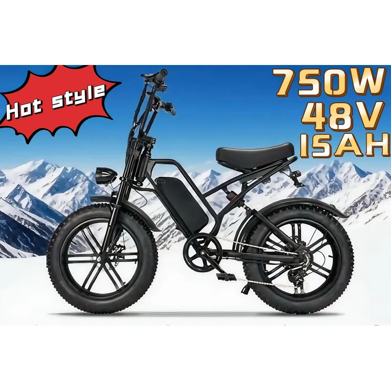 

Hot Selling-speed dual suspension and hydraulic brake bike Bike 750W motor, 20''Fat Tire Ebikes 48V 15AH,
