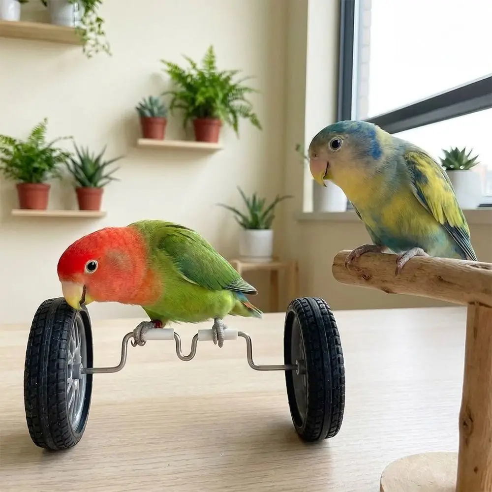 Multi-functional Plastic Parrot Balance Bike Lightweight Birds Training Bicycle Birds Intelligence Budgie Cockatiel Lovebird