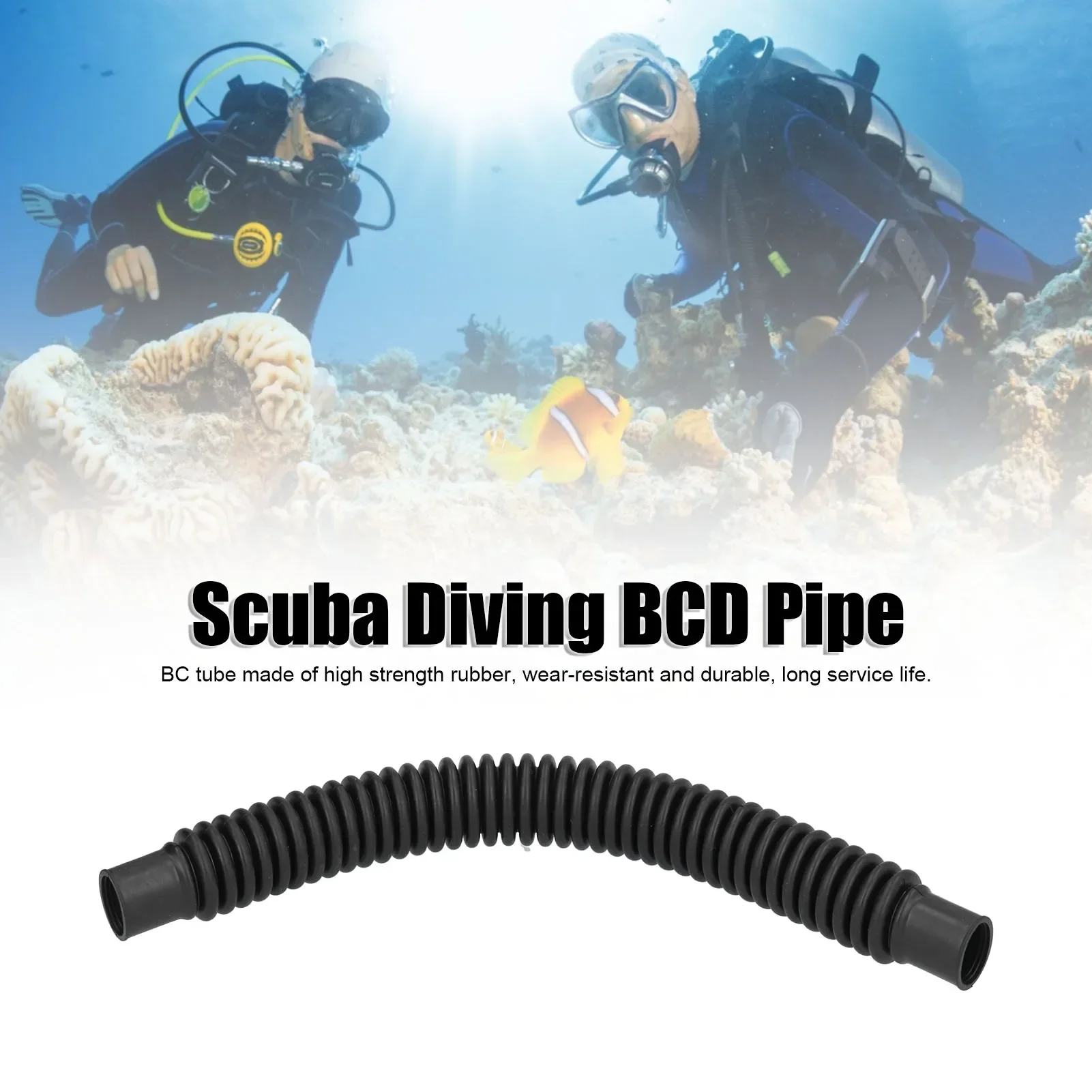 Scuba Diving Round …