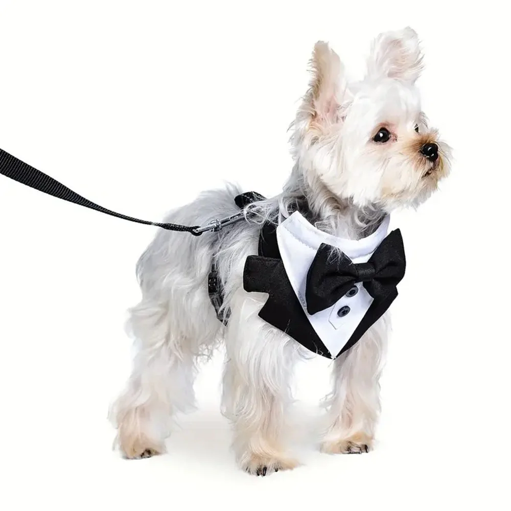 Formal Dog Tuxedo Suit 2