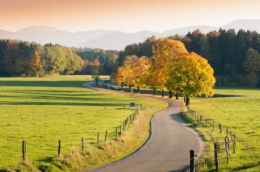 

For Volkswagen Jetta 2006-2014 Black Under Engine Guard Plate Splash Shield Mud Fender Cover Mudguard Protector