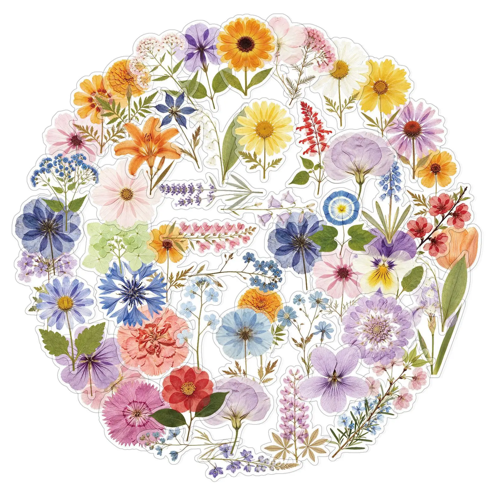 50Pcs Transparent Pressed Flower Plant Material Stickers Journal Notebook Tablet Phone Case Water Cup Decoration PET Decals