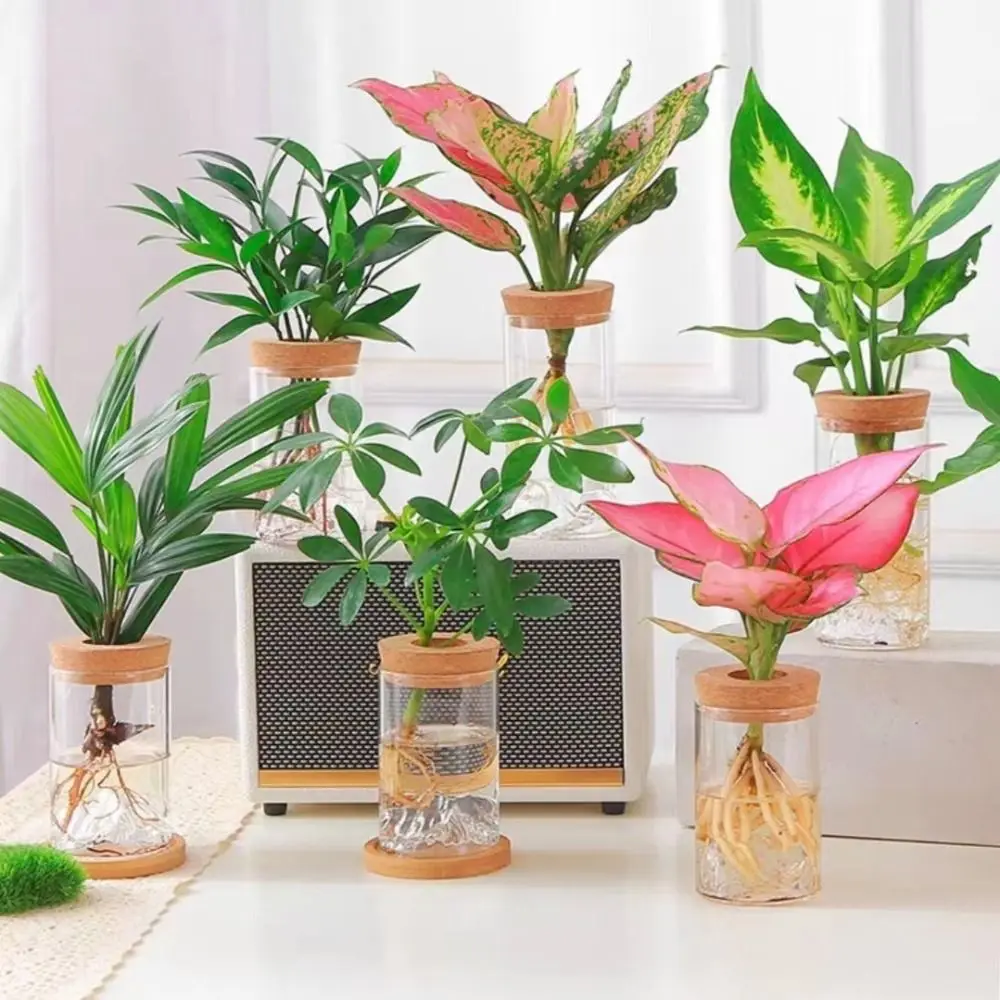 Flower Arrangement Bottle Glass Flower Vase Thickened Transparent Hydroponic Flower Holder Creative Mini Flower Pot Fish Tank