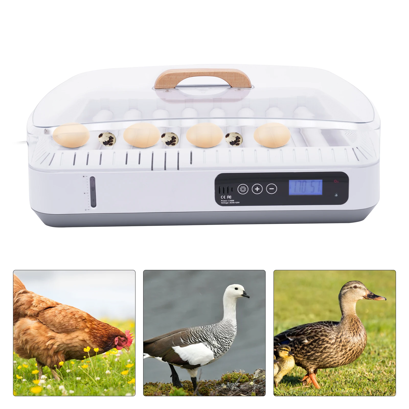 Incubators for Hatching Eggs with Automatic Turner with Humidity Fully Automatic Egg Hatching Incubator 35 Egg Incubator