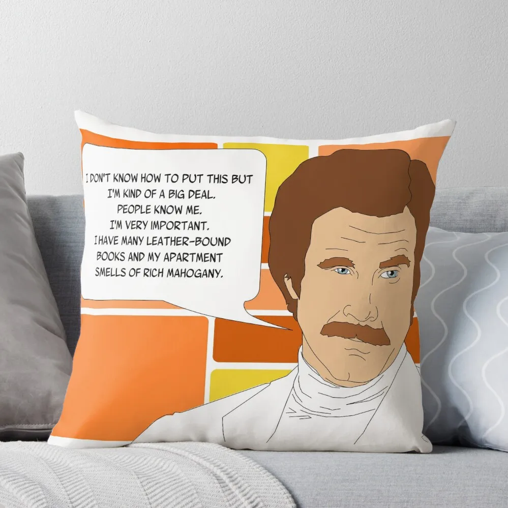 

I'm Ron Burgundy Throw Pillow christmas decorations for home 2024 Sitting Cushion Decorative Cushion Cover Luxury Cushion Cover