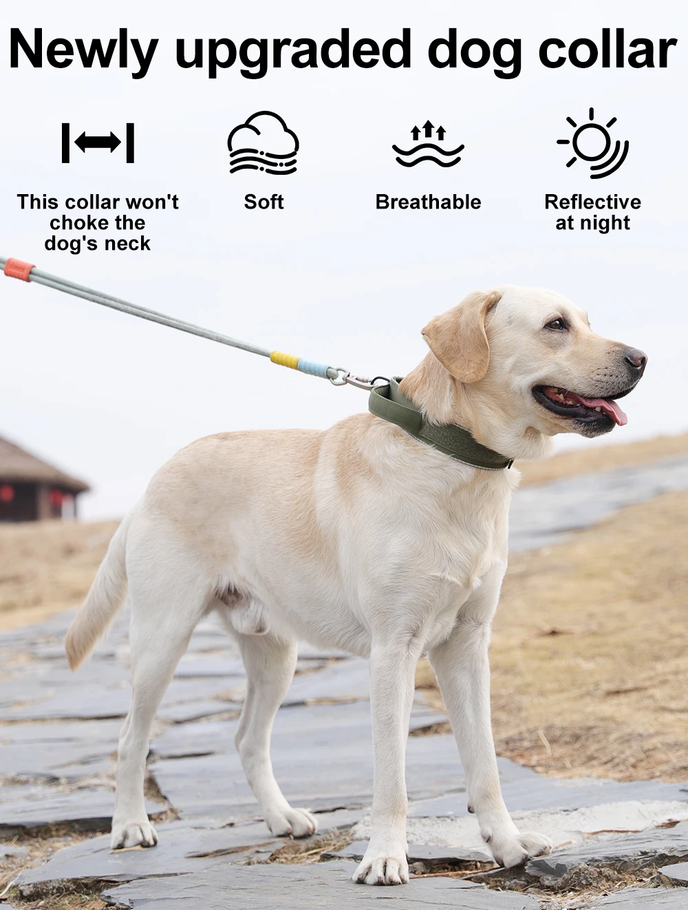 Taktisches Hundehalsband, verstellbares Hundehalsband für mittelgroße und große Hunde, Golden Retriever-Halsband mit Kontrollgriff, hochwertige Schnalle. – Detail 1