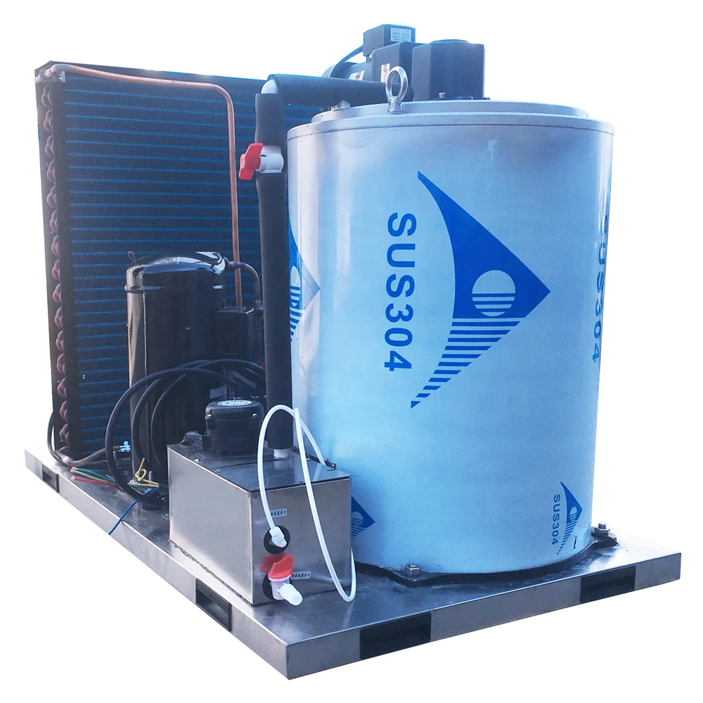Supermarket 1000 KG Flake Ice Making Machine for Fish Preservation Salt Water with Compressor and Pump Core Components