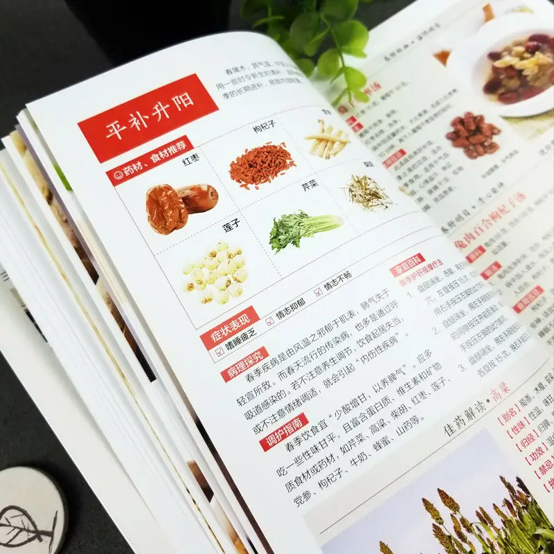 Compendium of Materia Medica, Traditional Chinese Medicine Soup Health Quick Check, Soup Books Daquan Health Soup Recipes Recipe