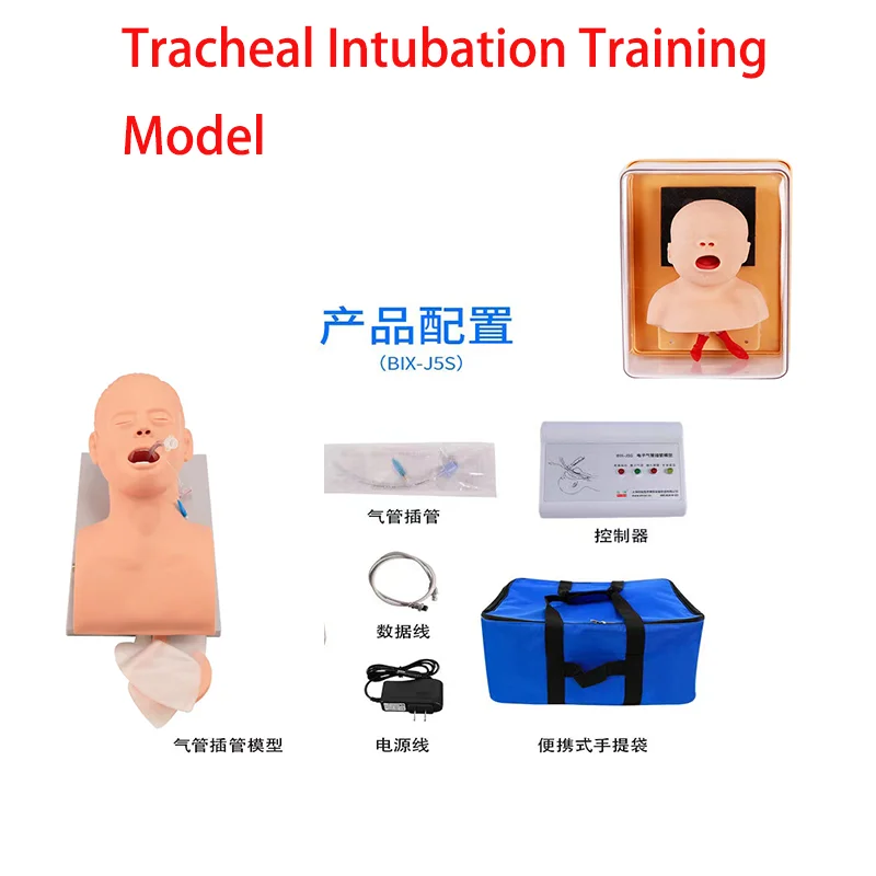 

Adult\Neonatal Tracheal Intubation Model Analog Double Lung and Stomach Expansion Child Tracheal Intubation Training Model