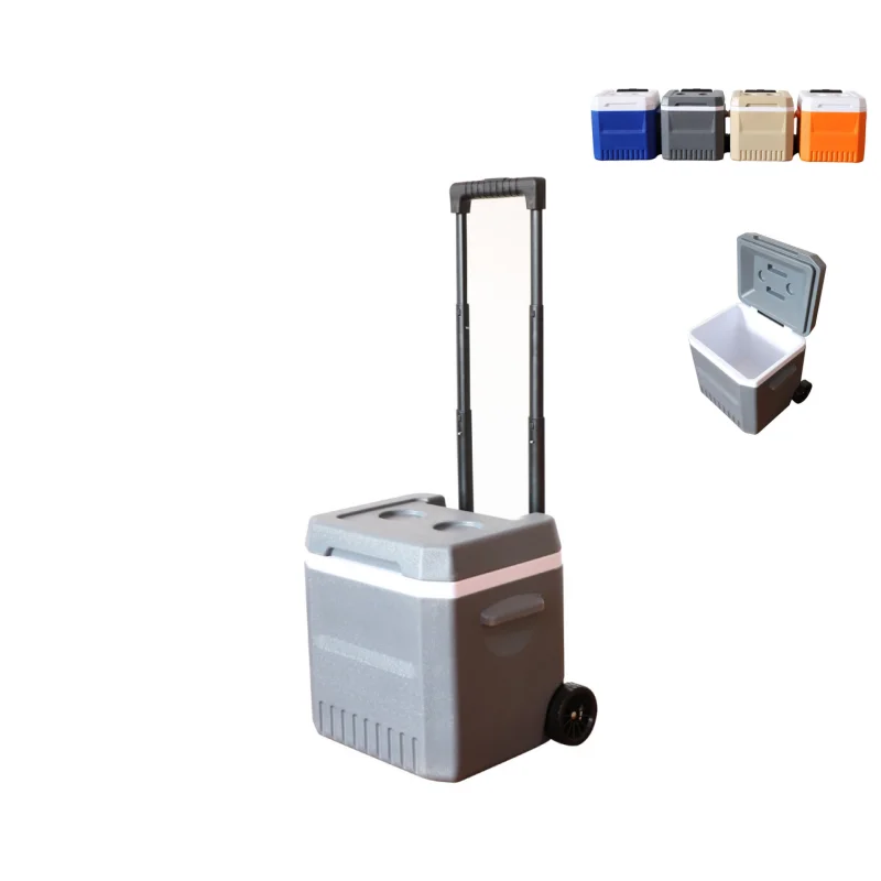 18L Insulated Box With Wheels Car Fresh Box With Trolley Cooler Box Portable Ice Bucket Outdoor Plastic Refrigerator New