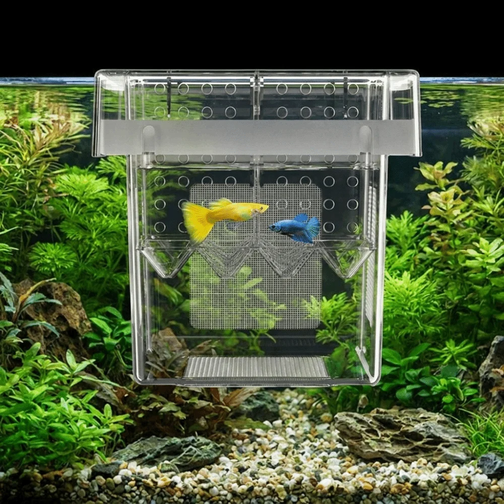 Caixa de Isolamento para Criação de Peixes Flutuante com Ventosa, Caixa de Criação Destacável para Aquário, Caixa de Criação de Guppies de Alta Transparência para Eclosão de Alevinos