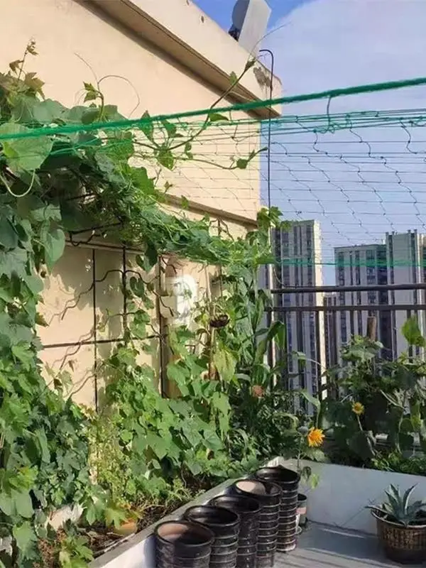 النباتات تنمو تسلق صافي دائم تعريشة صافي حديقة تعريشة المعاوضة نبات مرن دعم شبكة الثقيلة شبكة نبات مرن