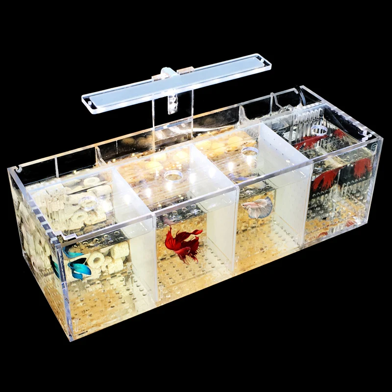 Modern 5W Plastic Rectangular Acrylic Aquarium Small Indoor Fish Display Four Compartments for Home Living Bathroom Comes