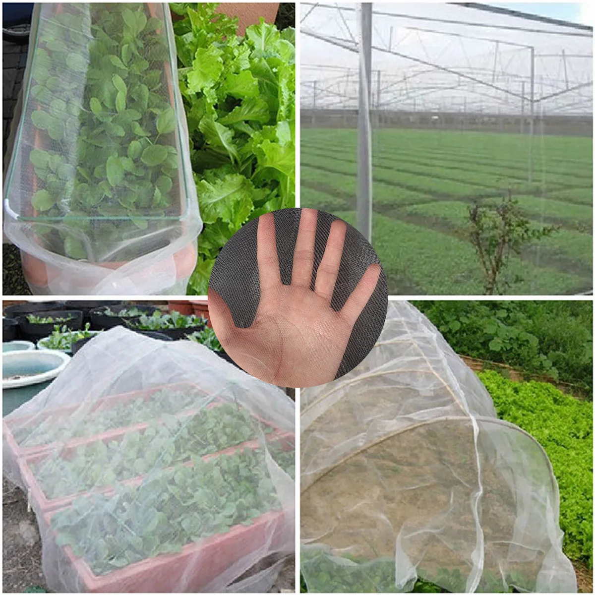 Insect Protection Net Garden Plant Insect Vegetables Fruit Flower Protection Greenhouse Cover Control Pest Anti-Bird