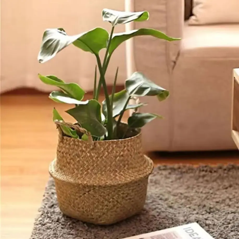 

Seagrass Storage Basket Rattan Wicker Folding Hamper Flowerpot Plant Holder Handwoven Organizer for Living Room Decor Bohemian