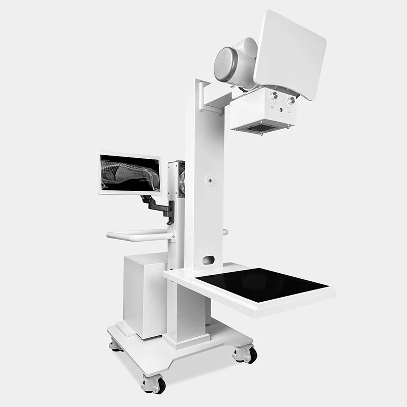 Veterinary Dynamic Digital Radiography C Arm With 360 Degree X Ray Machine For Pet Hospital Clinic Diagnosis