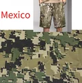 5-point shorts-L