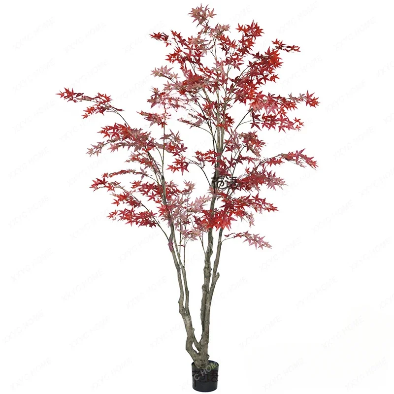 

Large Imitative Tree Red Maple Green Maple Acer Palmatum Window Landscaping