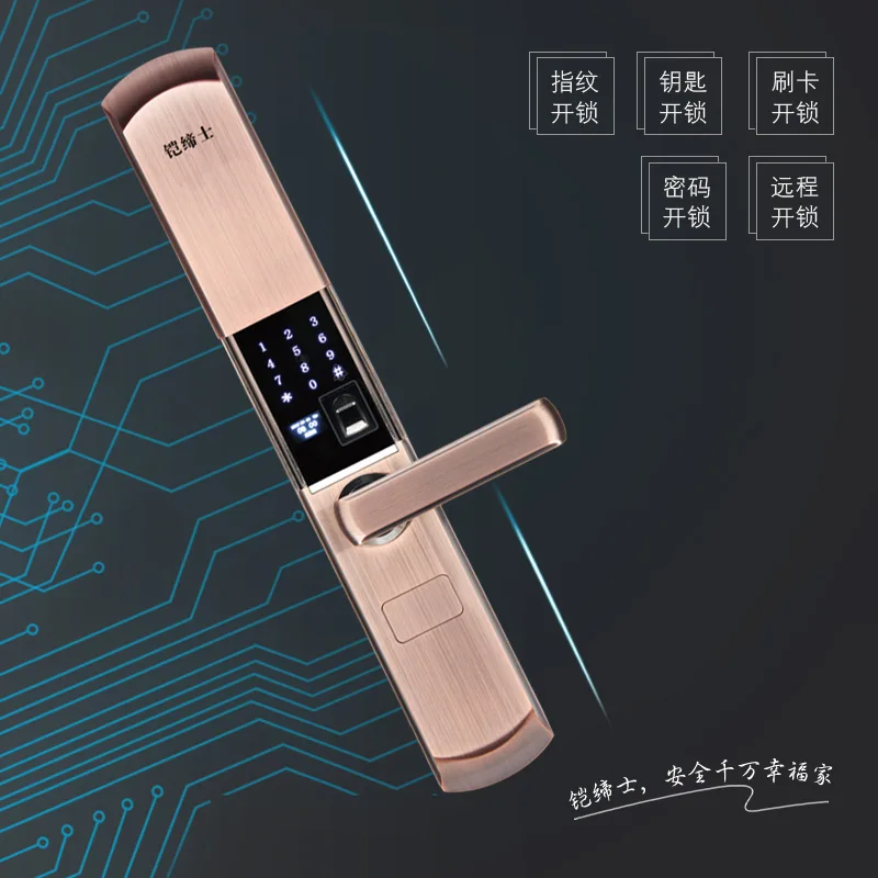 

Cadis Fingerprint Lock Household Anti-theft Door Smart Lock Automatic Sliding Cover Electronic Password Lock