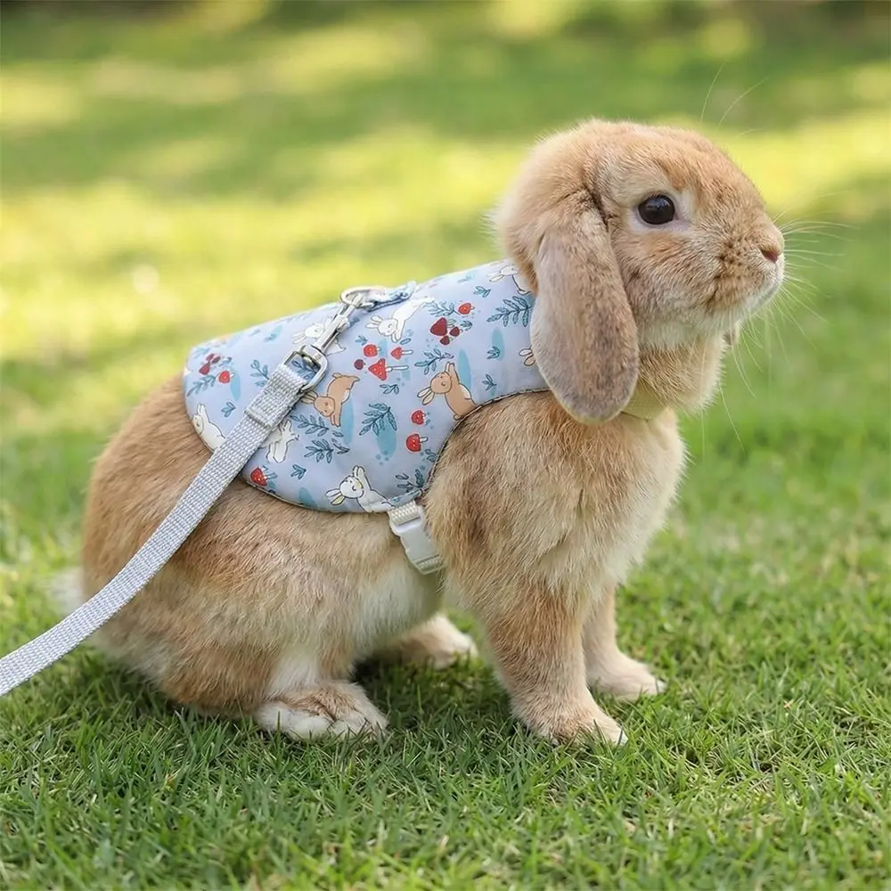 Arnés para conejos con estampado floral, transpirable, para pecho y espalda, chaleco para conejillos de indias, a prueba de escapes, conjunto de correa ajustable para conejos, para uso en exteriores
