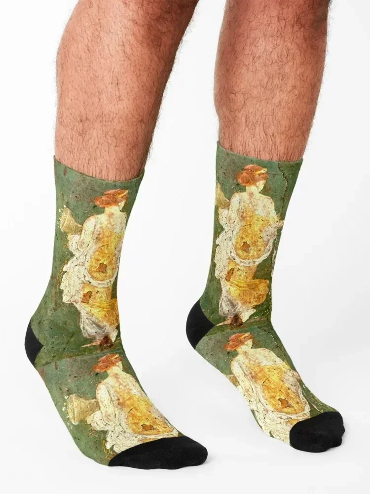 Flora or Primavera (Spring) Socks new year summer valentine gift ideas kids Man Socks Women's