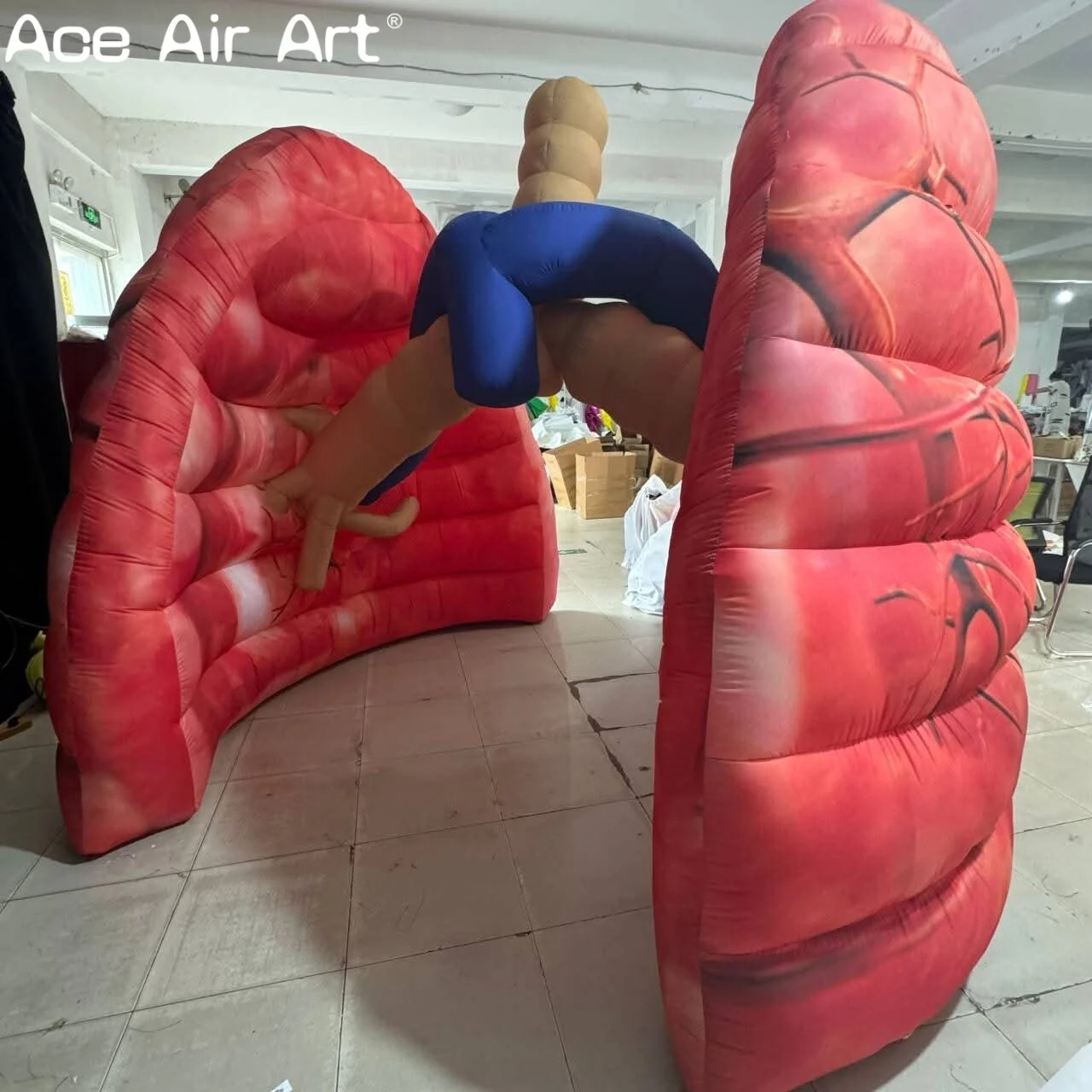 Modèle gonflable réaliste de cœur humain, affichage d'éducation médicale pour les hôpitaux, les clinique et l'apprentissage de l'anatomie