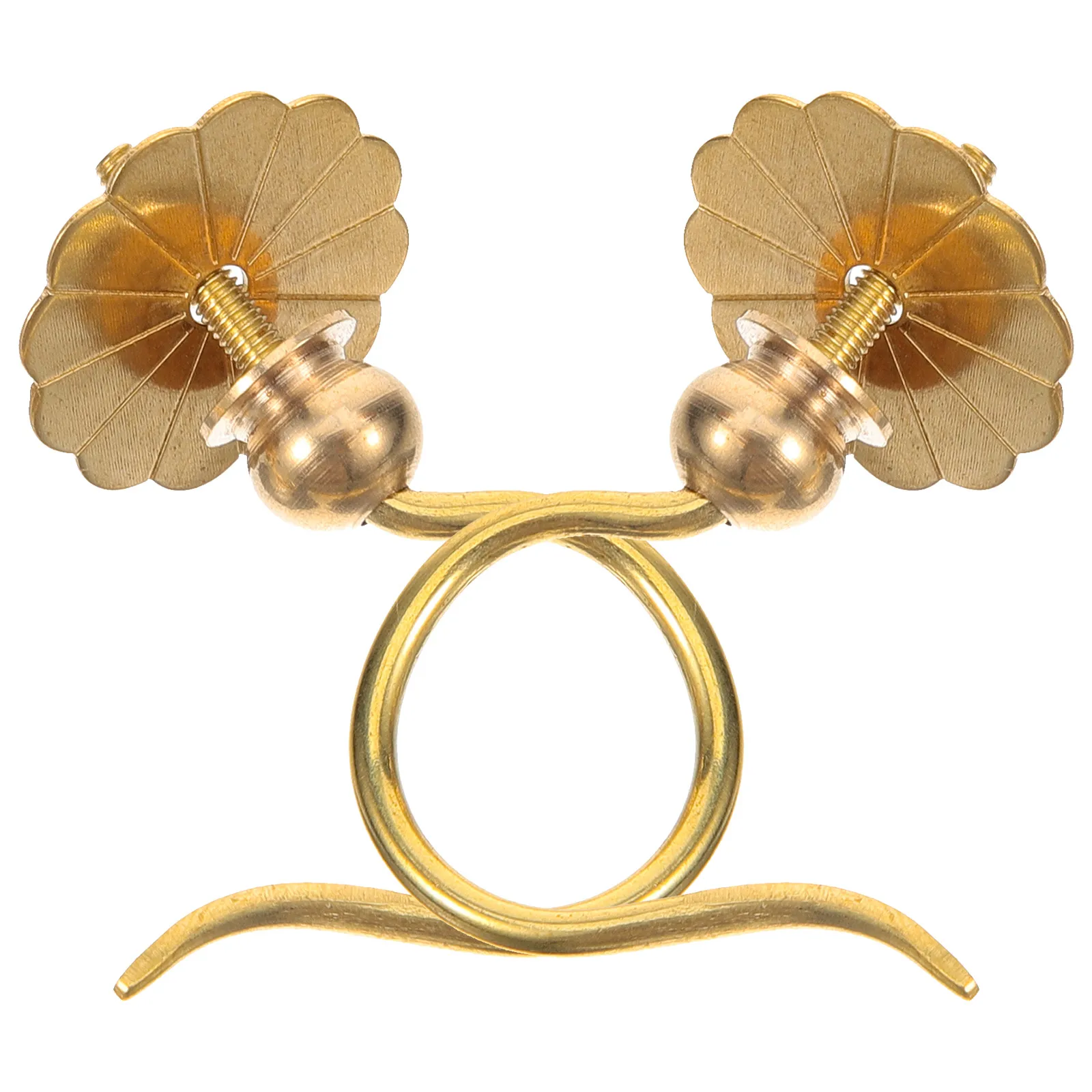 

Brass Birdcage Hooks Decorative Cage Accessory Metal Hanger Tools Small Hooks for Birdcages