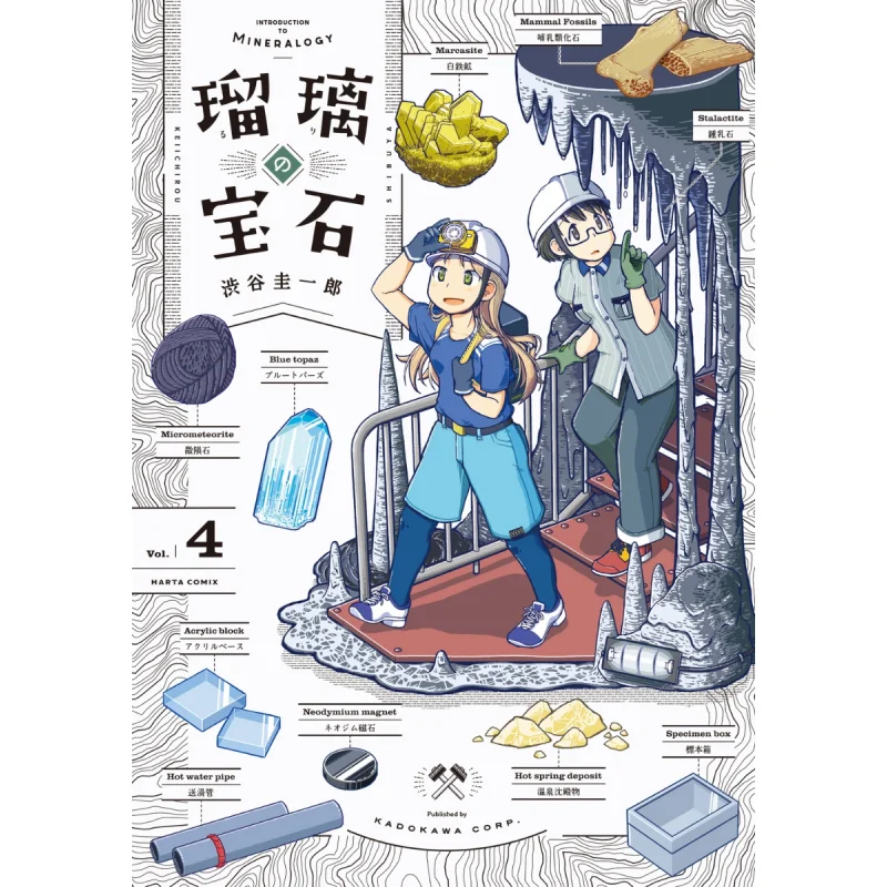 

Ruri No Gem 04 Youdaoplaceholder 0 Keiichiro Tani Книжный магазин Kadokawa 9784047376373 Книга