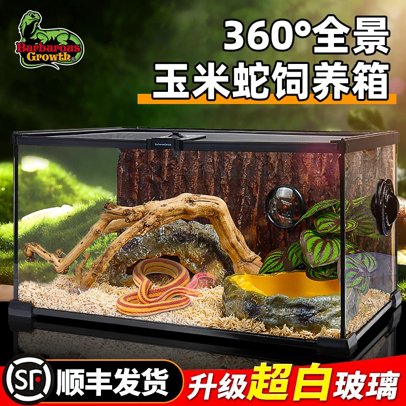 

BG ультра-белый стеклянный ящик для кормления змей для взрослых, резервуар для кормления домашних животных, специальный экологический резервуар для ландшафтного дизайна с дождевым лесом для ra