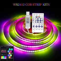 WS2812 RGBIC COB LED lights Individually Addressable Led strip 60/160/200Led/m WS2812B Smart Color strips with controller DC5V