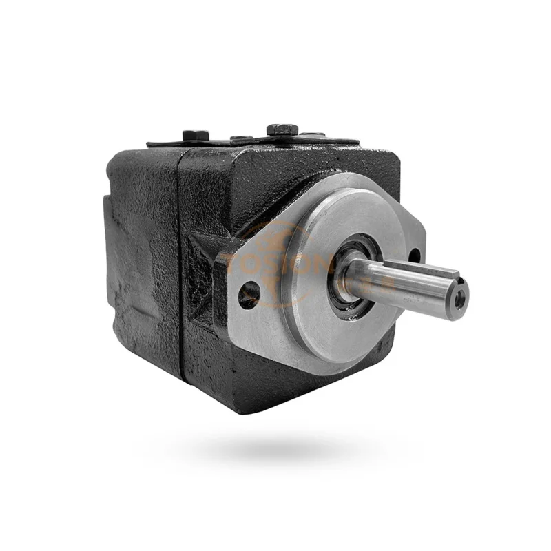 

For Sea Shipping CustomizedT7B T7BS Parker Denison Hydraulic Vane Pump 1 HP 100 Bar