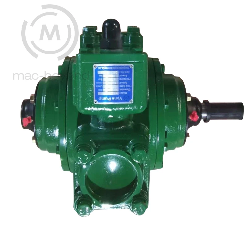 

Fuel Vane Pump Oil Control Pump 2.5 Inch Liquid Transfer Vane Pump 4kw