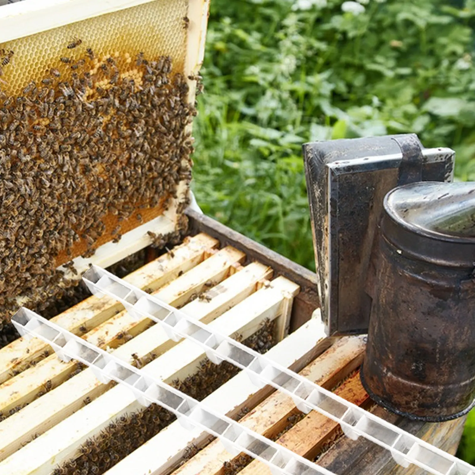 10Pcs Honeycomb Frame Spacing Strip Firm Plastic Bee Hive Divider Honeycomb Beekeeping Supplies Bee Nurturing Divider