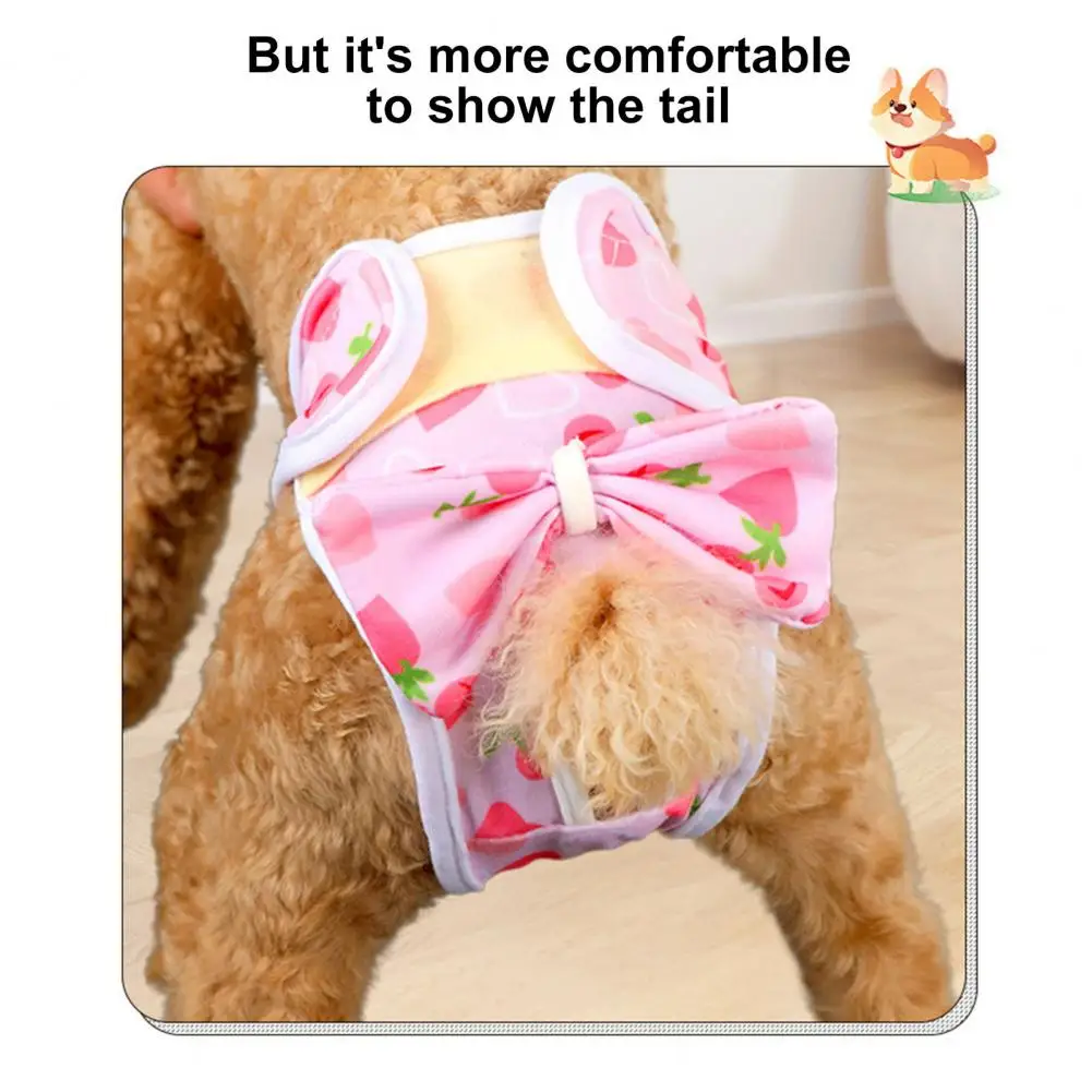 Dog Menstrual Pants Washable Dog Diapers for Female Dogs Heat Breathable Pet Physiological Panties Reusable Puppy for Dogs