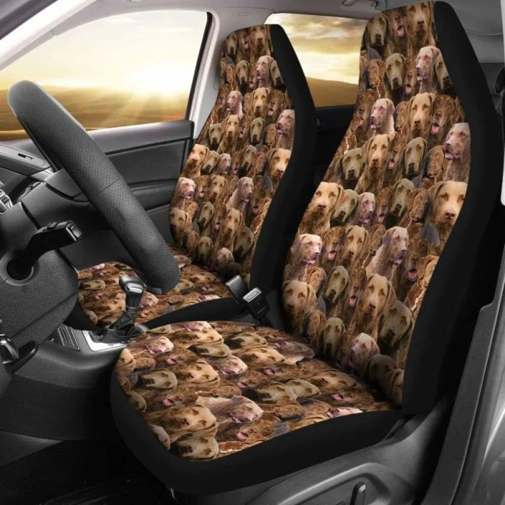 

Chesapeake Bay Retriever Full Face Car Seat Covers 115106,Pack of 2 Universal Front Seat Protective Cover